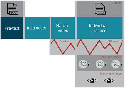 Multimodal measurements enhance insights into emotional responses to immediate feedback